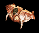 Pharopod 09 2013.PNG